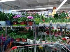 -家乐福(川沙店)
