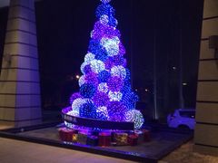 -视界美食自助餐厅·石家庄希尔顿酒店