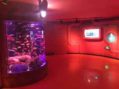 -沈阳海洋探索中心