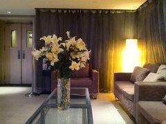 -白玉兰商务酒店(上海陆家嘴滨江店)