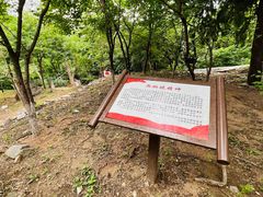 -阳台山自然风景区