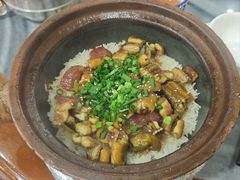 -红星光发煲仔饭(大石街店)