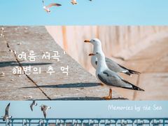 -星海广场