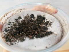 奥利奥碎-DQ·蛋糕·冰淇淋(印象城店)