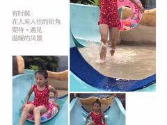 -重庆海昌加勒比海水世界