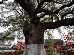 -新安江山水画廊风景区