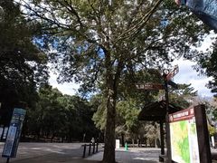 -奈良公园