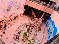 -陕西自然博物馆