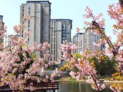 -新江湾城公园
