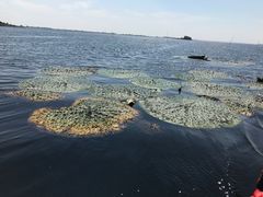 -梁子岛生态旅游区