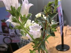 -gaga(深圳南山益田假日广场店)