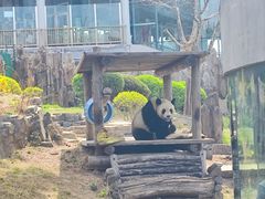 -大连森林动物园