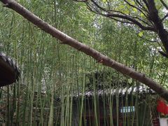 -老张烤羊(王哥庄店)