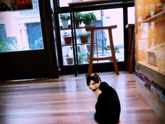 -猫的天空之城概念书店(杭州南宋御街店)