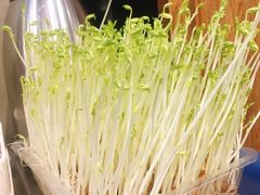 -小王少龙火锅(沙南街店)