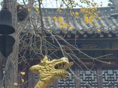 -长春观