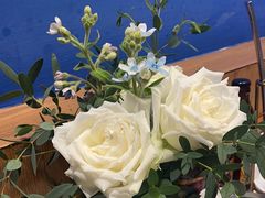 -木王宴语·野生鲜菌火锅(玉河店)