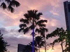 -ventus spa 沙巴亚庇正宗精油按摩会所