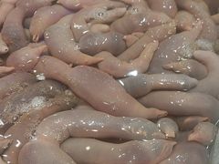 -老虎滩船说·海胆水饺·大连海鲜(老虎滩店)