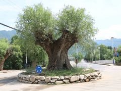 -洨河生态公园