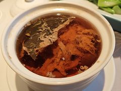 黄皮果龙脷叶炖土猪-新兴·金羊座·粤菜点心(乐峰店)