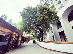 -尼依格罗香港美利酒店