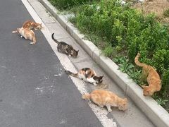 -上海嘉宁·心理咨询中心