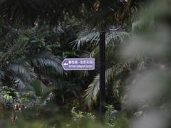 -厦门悦华酒店