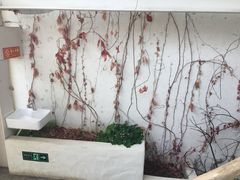 -無用生活空间(北京店)