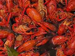 -菲住布渴酒店自助餐厅(阿里巴巴西溪园区店)