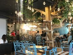 大堂-共舞时光猫咖·狗咖(新街口店)