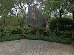 -福建鲤鱼洲酒店