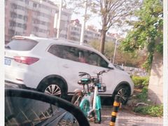 -中国石化加油站(王串场站)