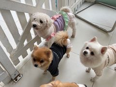 -怪兽屋·羊驼·猫咖·狗咖(俊华广场店)