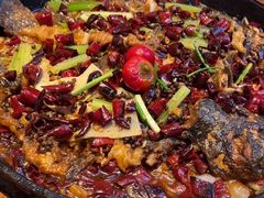 -老板恋上鱼(恒隆广场店)