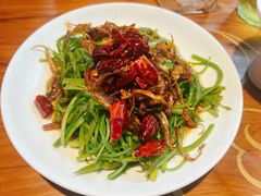 -菌自由丨野生菌火锅特色庭院餐厅(丽江古城店)