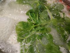 -吃饭皇帝大(合生汇店)