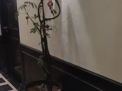 -涟LIAN·泰式按摩·MASSAGE·SPA(深业上城店)