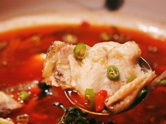 -尽膳·鱼鲜川菜(宽窄巷子店)