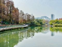 -四海公园(南山区)