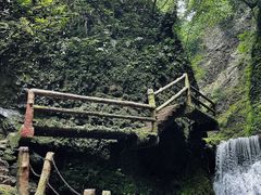 -青城山