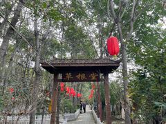 -草根堂农场