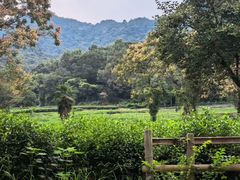 -灵隐飞来峰景区