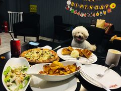 -百好乐宠物友好餐厅(朝外大街店)