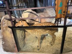 -酷嗒动物文化乐园(cutezoo西溪乐天城店)