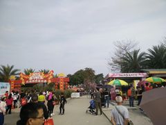 -天适樱花悠乐园