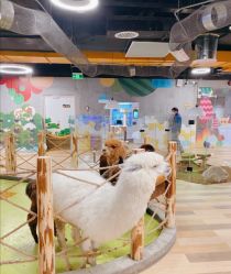 -七巧国萌宠乐园(龙湖天街店)