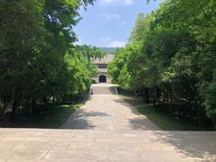 -灵谷景区