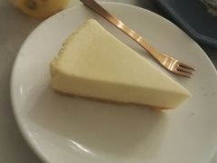 -有猫主题·治愈系猫咖(曾厝垵店)