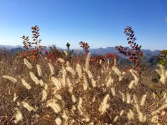-狼牙山风景区